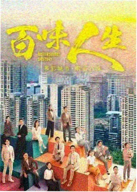 悬疑剧雾港档案剧集条目图